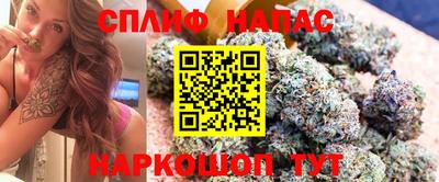 mdpv Гай